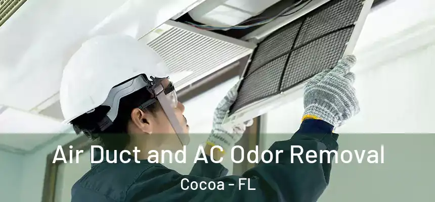 Air Duct and AC Odor Removal Cocoa - FL