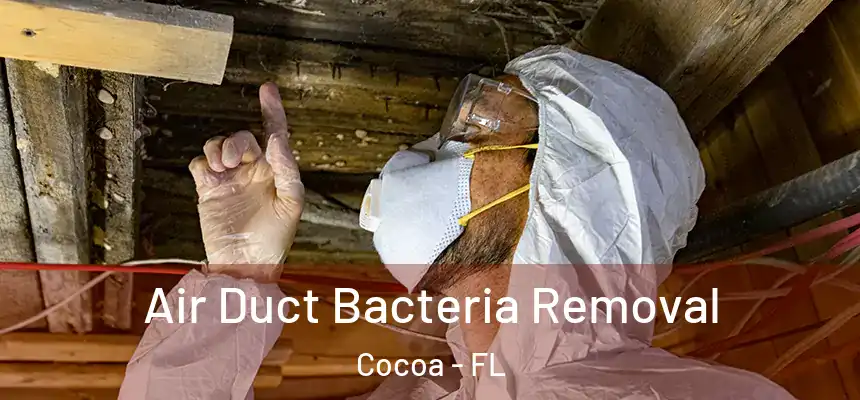 Air Duct Bacteria Removal Cocoa - FL