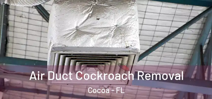 Air Duct Cockroach Removal Cocoa - FL