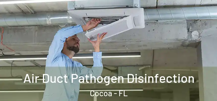 Air Duct Pathogen Disinfection Cocoa - FL