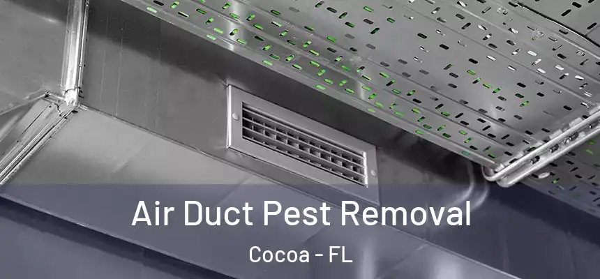  Air Duct Pest Removal Cocoa - FL