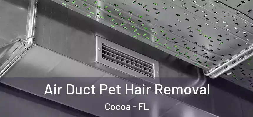  Air Duct Pet Hair Removal Cocoa - FL