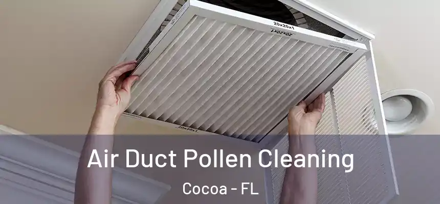 Air Duct Pollen Cleaning Cocoa - FL