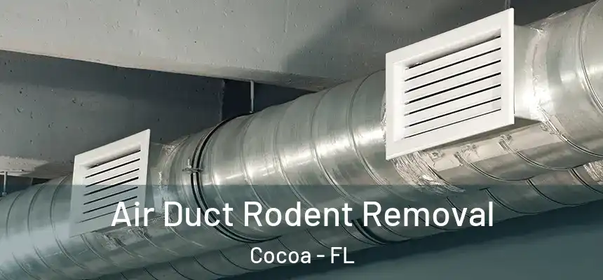  Air Duct Rodent Removal Cocoa - FL
