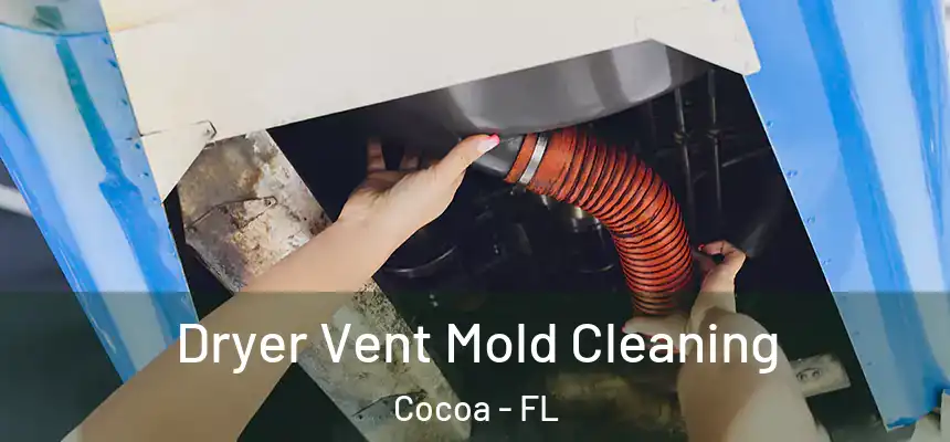 Dryer Vent Mold Cleaning Cocoa - FL