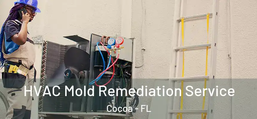 HVAC Mold Remediation Service Cocoa - FL