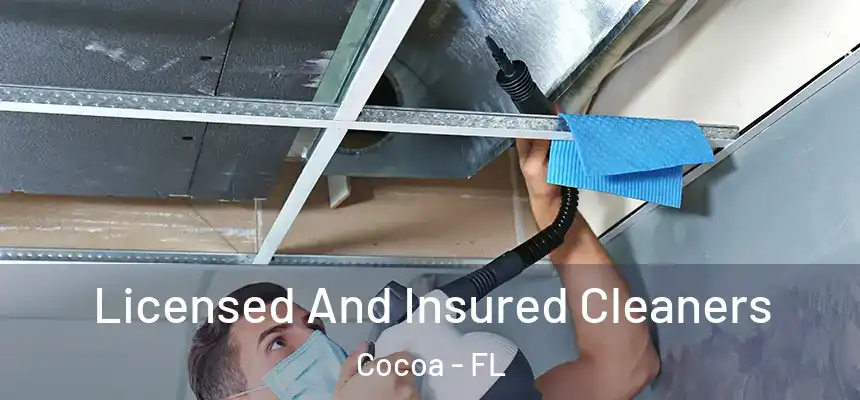 Licensed And Insured Cleaners Cocoa - FL