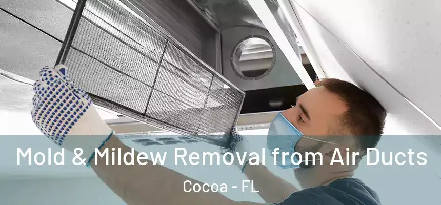 Mold & Mildew Removal from Air Ducts Cocoa - FL