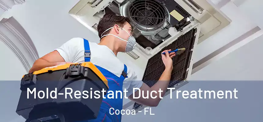  Mold-Resistant Duct Treatment Cocoa - FL