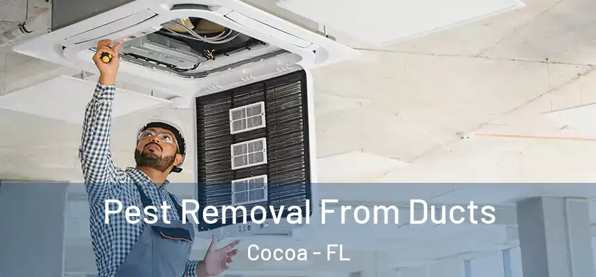 Pest Removal From Ducts Cocoa - FL