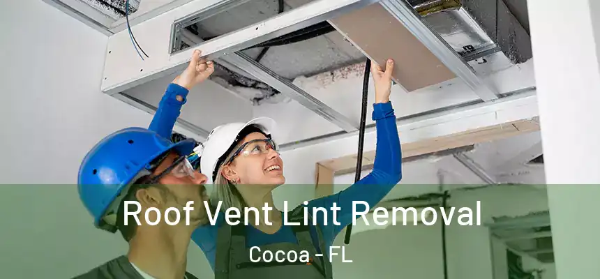 Roof Vent Lint Removal Cocoa - FL