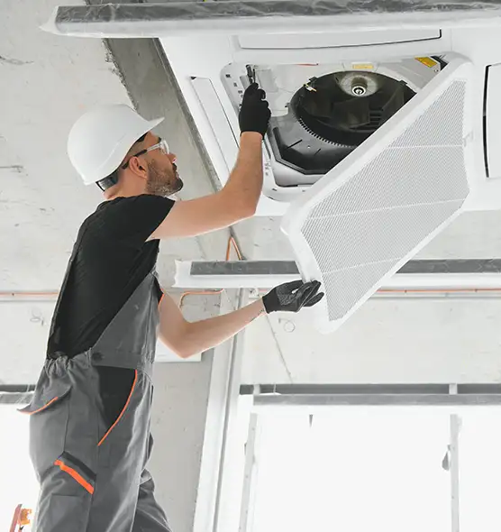 About Air Duct Rodent Removal in Cocoa, FL