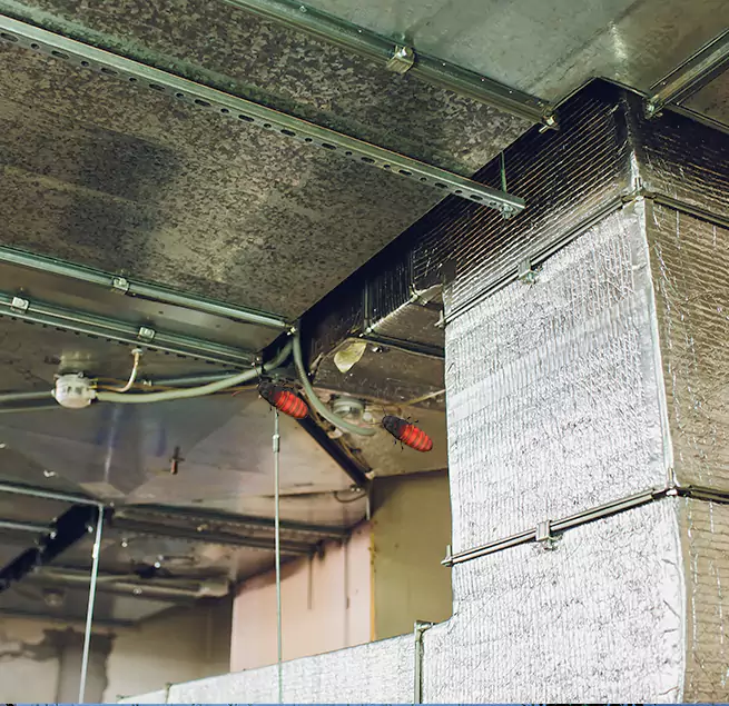 Why Homeowners & Businesses Trust Us in Cocoa, FL?