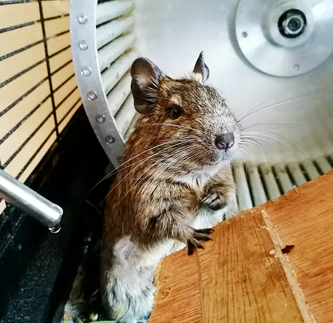 Why Homeowners & Businesses Trust Us Cocoa, FL