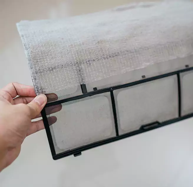 Why Homeowners & Businesses Trust Us in Cocoa, FL?