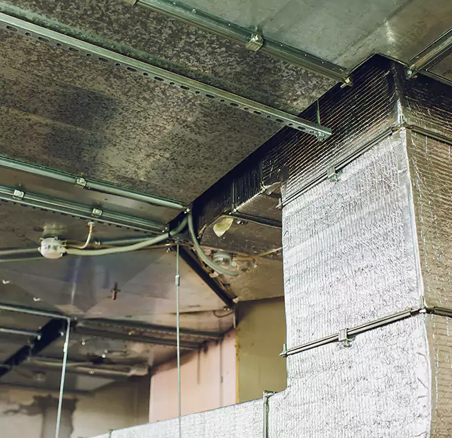 Why Homeowners & Businesses Trust Us in Cocoa, FL?