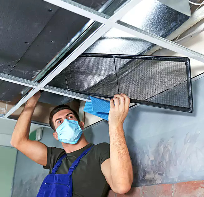 Why Homeowners Businesses Trust Us in Cocoa, FL